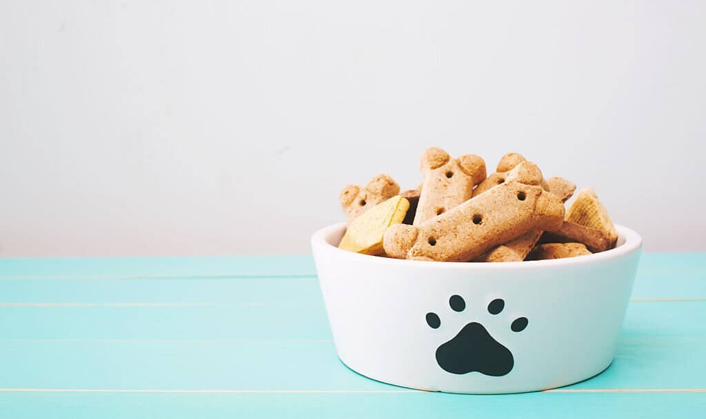  5 consejos nutricionales para una mascota sana - snacks y golosinas